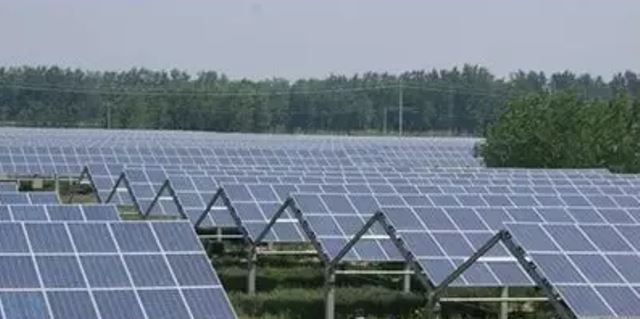 Agricultural photovoltaic system 02.jpg