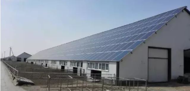 Agricultural photovoltaic system 04.jpg