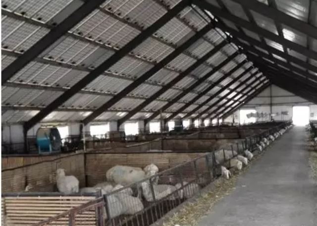 Agricultural photovoltaic system 05.jpg